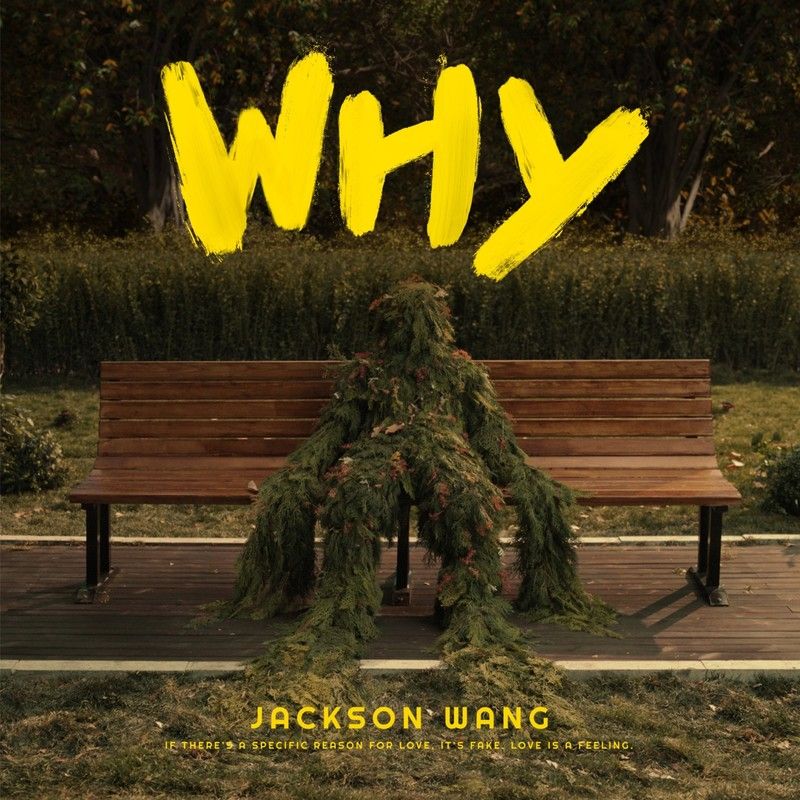 王嘉尔-《Why Why Why》