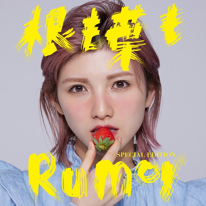 AKB48-《根も葉もRumor Special Edition》