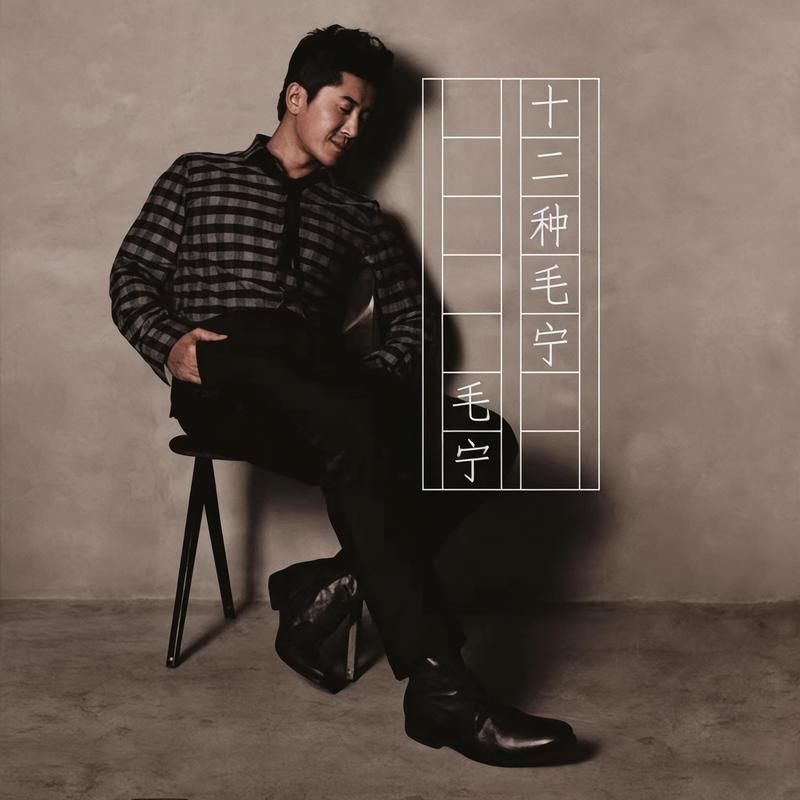 毛宁-《12种毛宁》