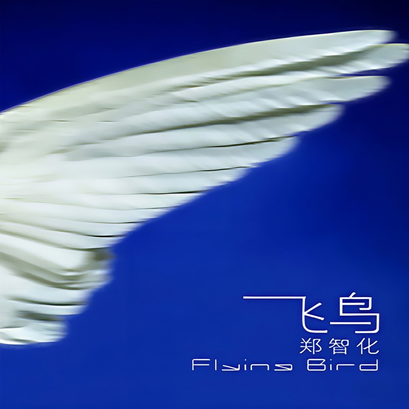 郑智化-《飞鸟》