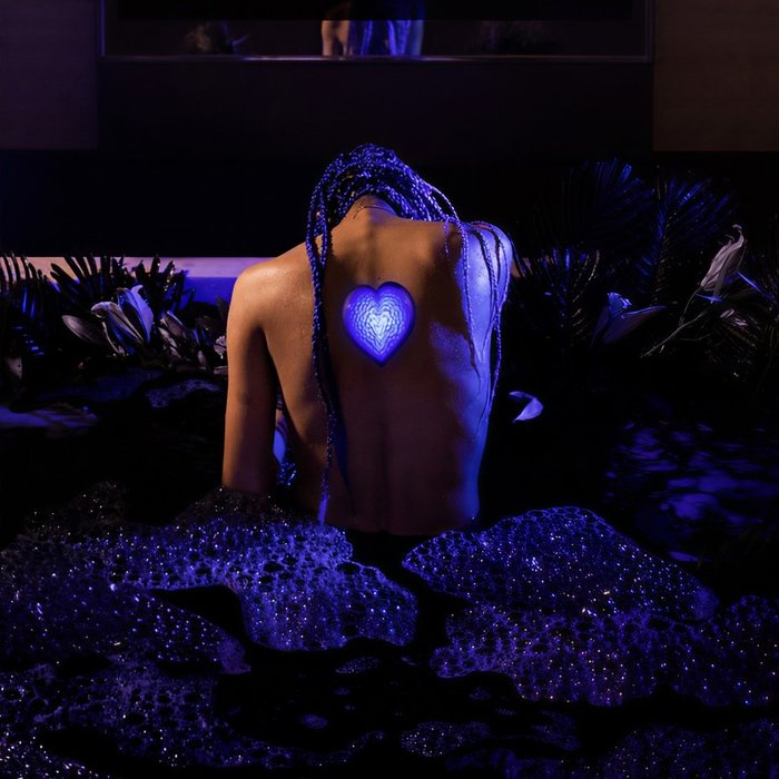 女王蜂-《BL》