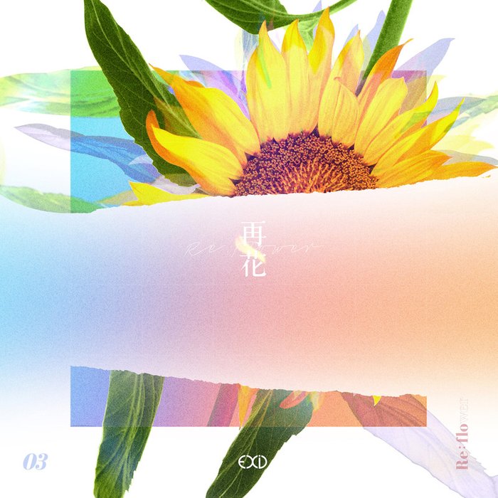 [Re_flower] PROJECT #3