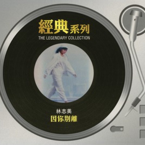 林志美-《经典系列-因你别离》