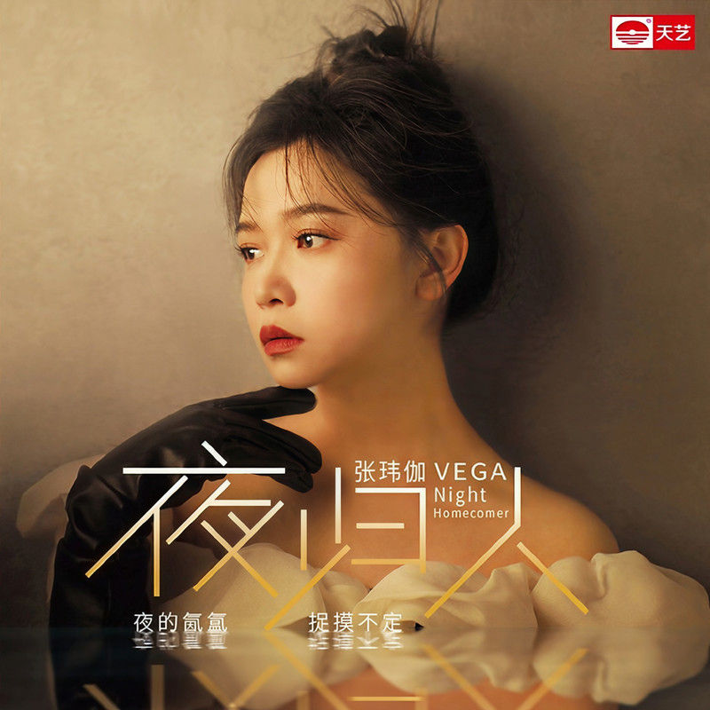 张玮伽-《夜归人》