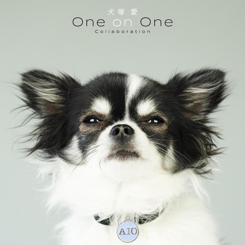 大塚愛-《犬塚 愛 One on One Collaboration》