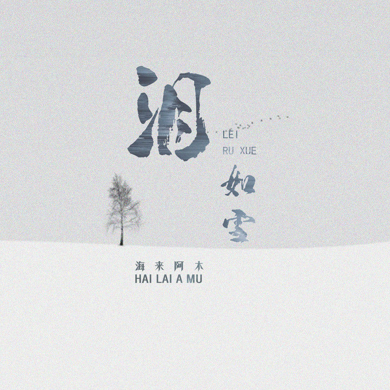 海来阿木-《泪如雪》