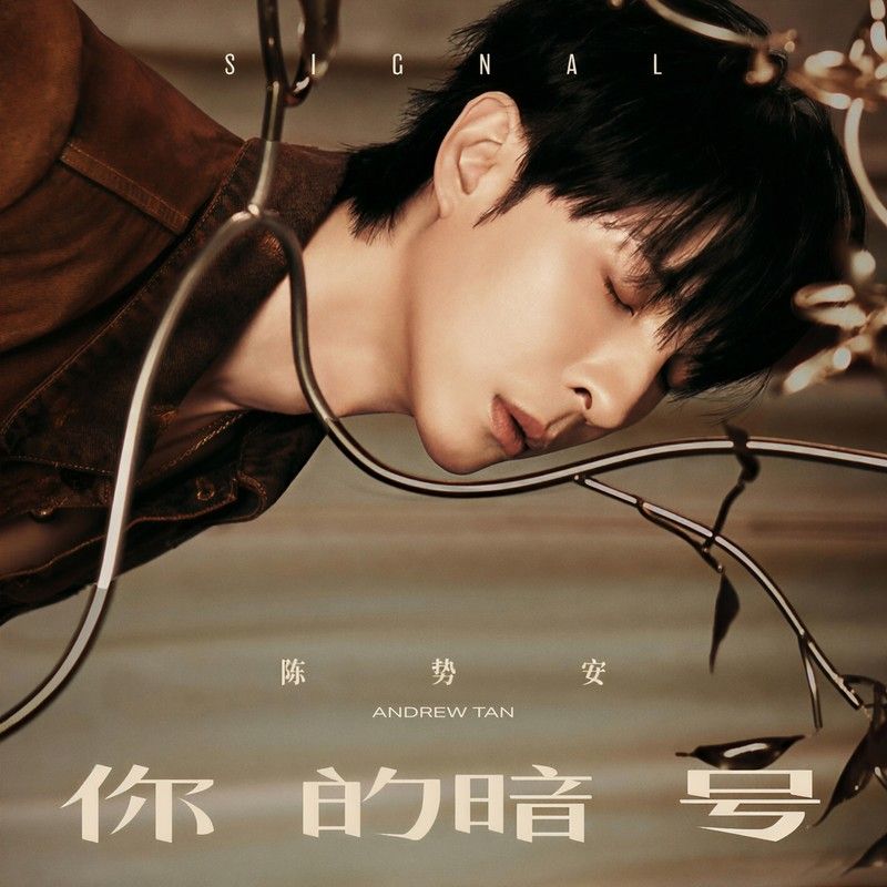 陈势安-《你的暗号》