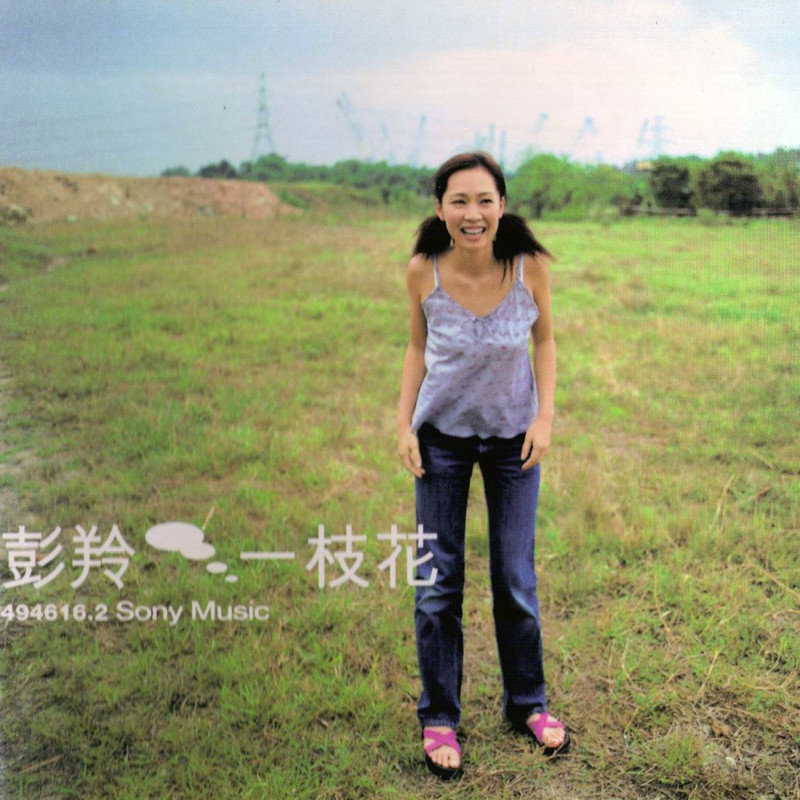 彭羚-《一枝花》