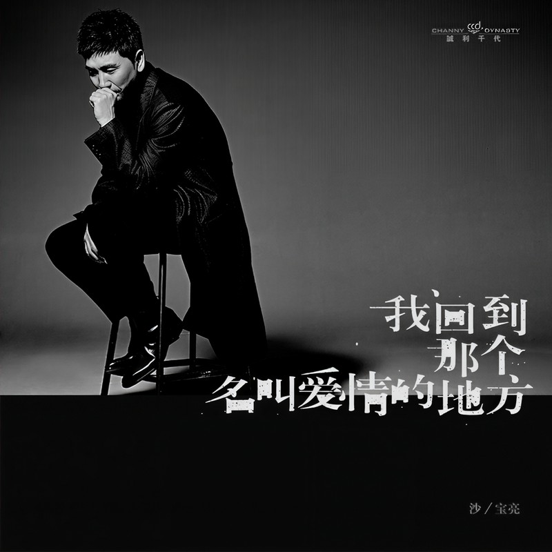 沙宝亮-《我回到那个名叫爱情的地方》