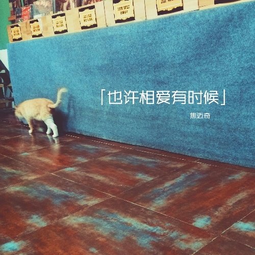 焦迈奇-《也许相爱有时候》