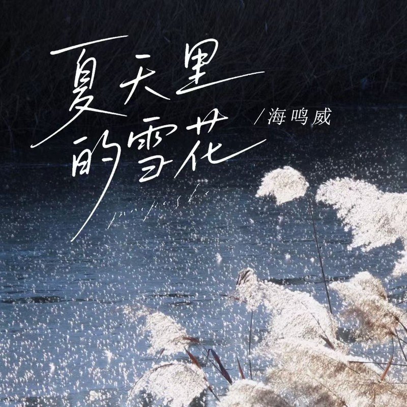 海鸣威-《夏天里的雪花》