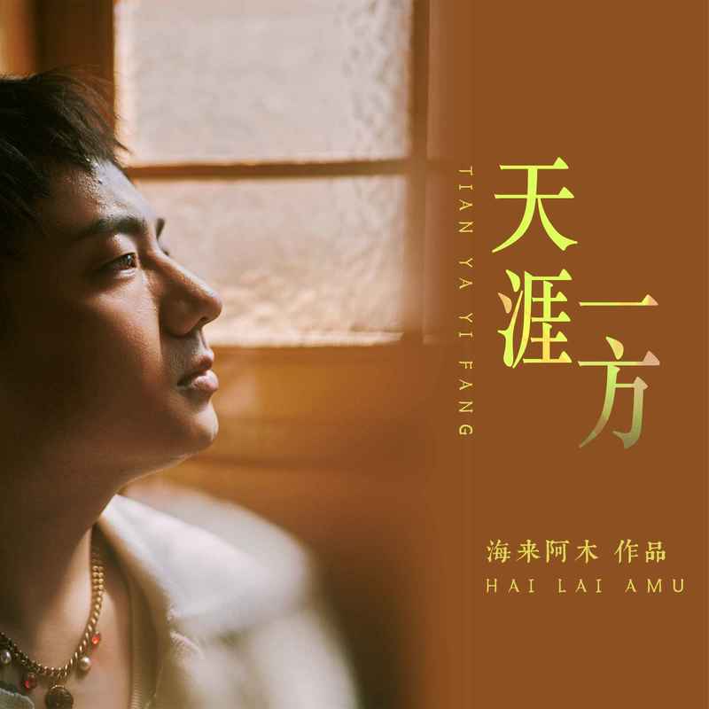 海来阿木-《天涯一方》