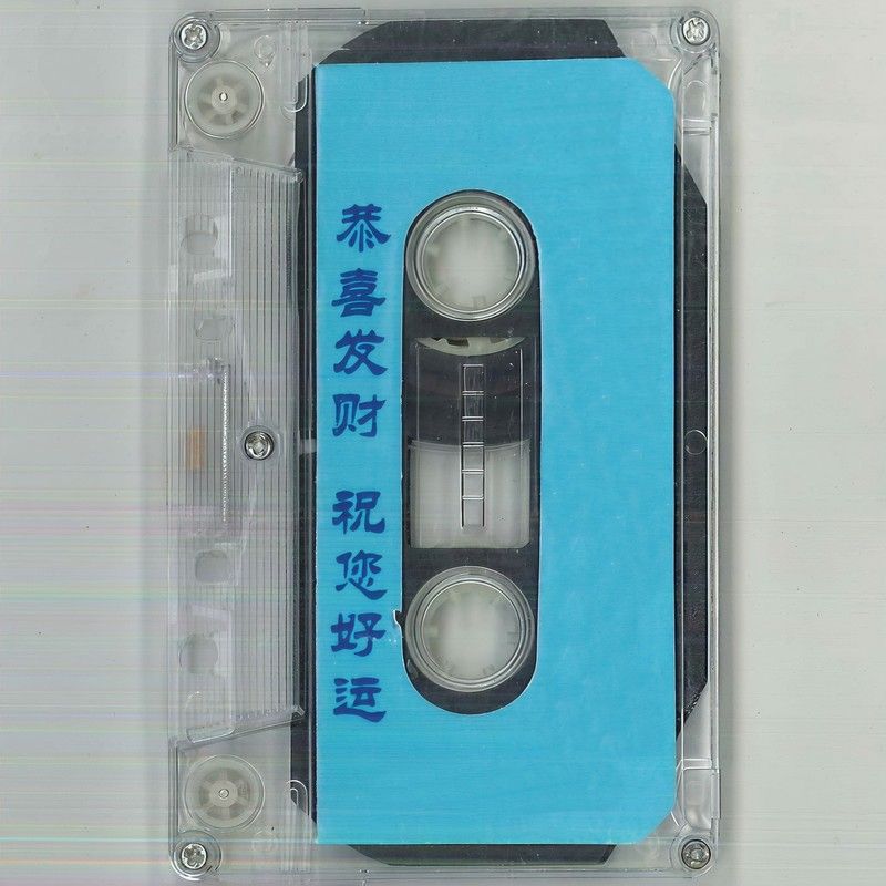 毛宁-《恭喜发财 祝您好运 2》