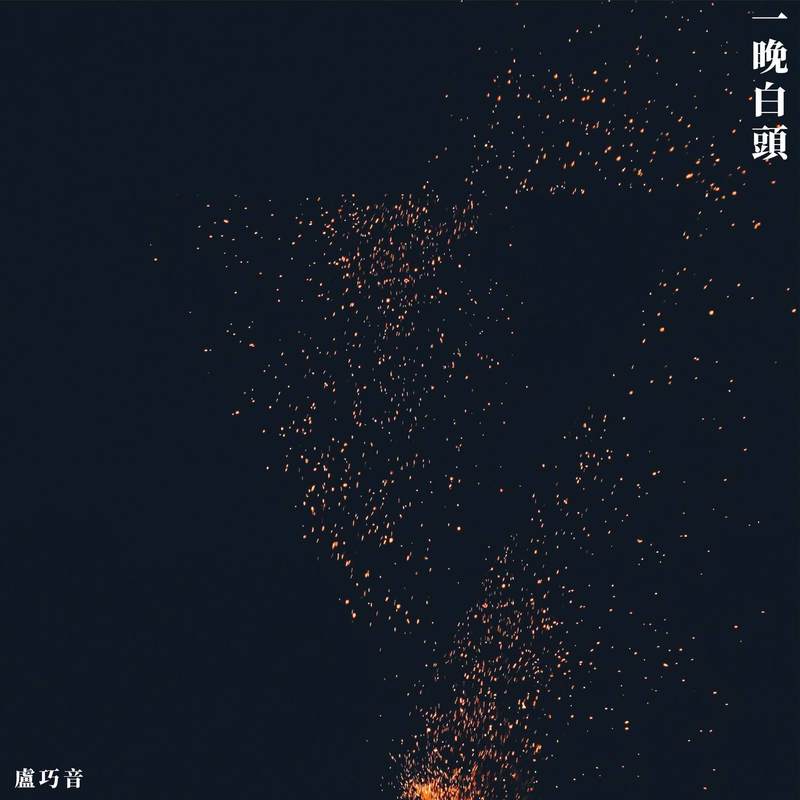 卢巧音-《一晚白头》