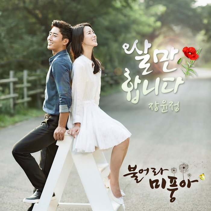 张允瀞-《불어라 미풍아 (Original Television Soundtrack) , Pt. 4》