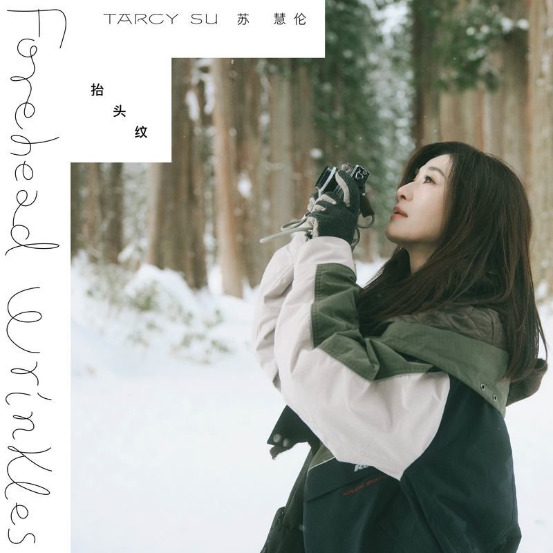 苏慧伦-《抬头纹》