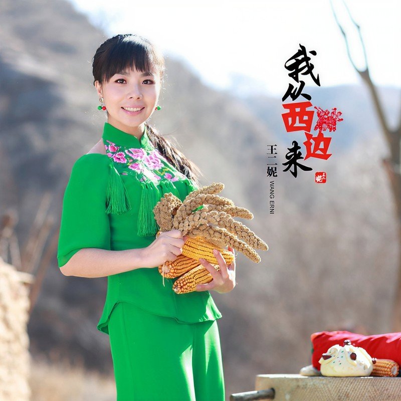 王二妮-《我从西边来》