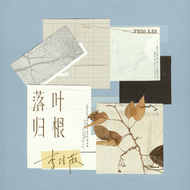 李佳薇-《落叶归根》