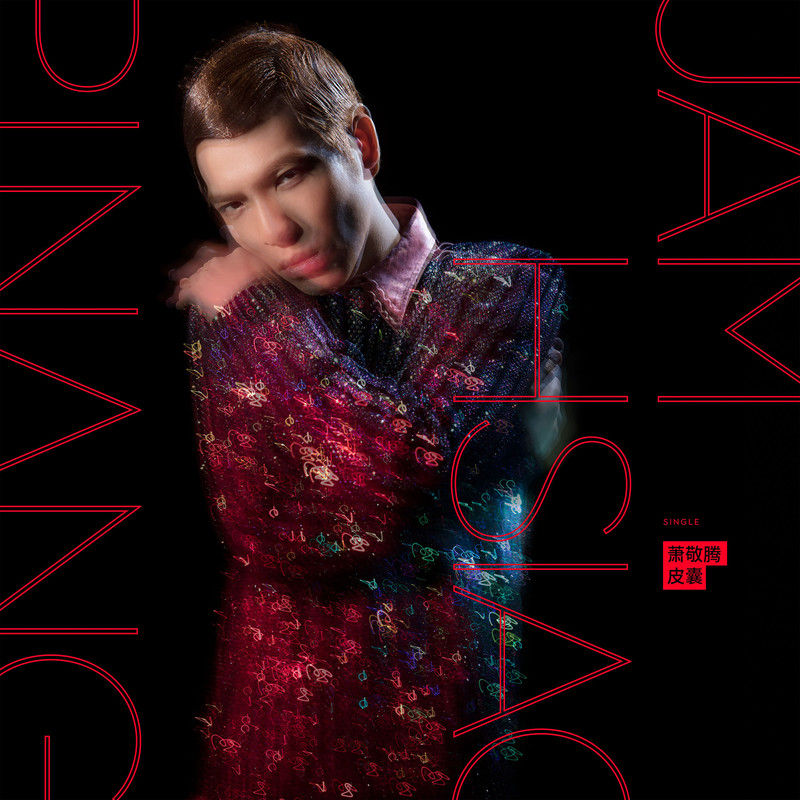 萧敬腾-《皮囊》