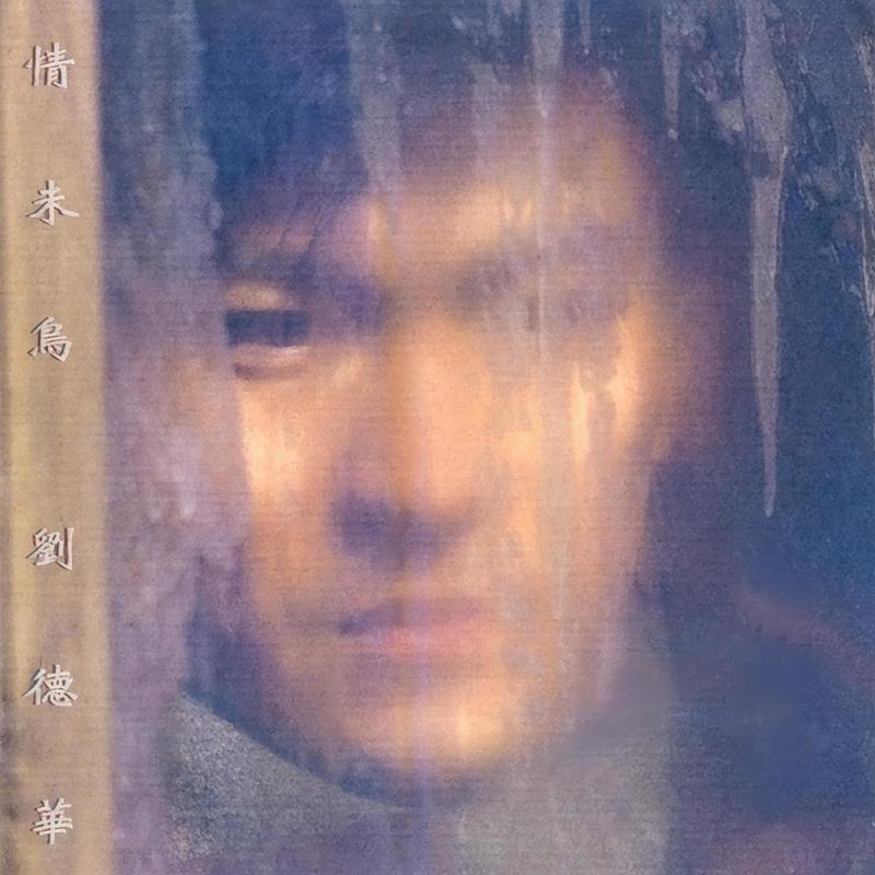 刘德华-《情未鸟》