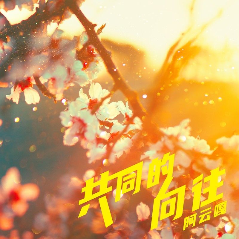 阿云嘎-《共同的向往》