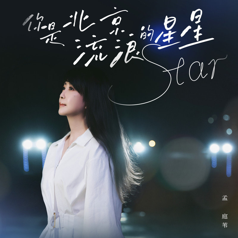 孟庭苇-《你是北京流浪的星星》