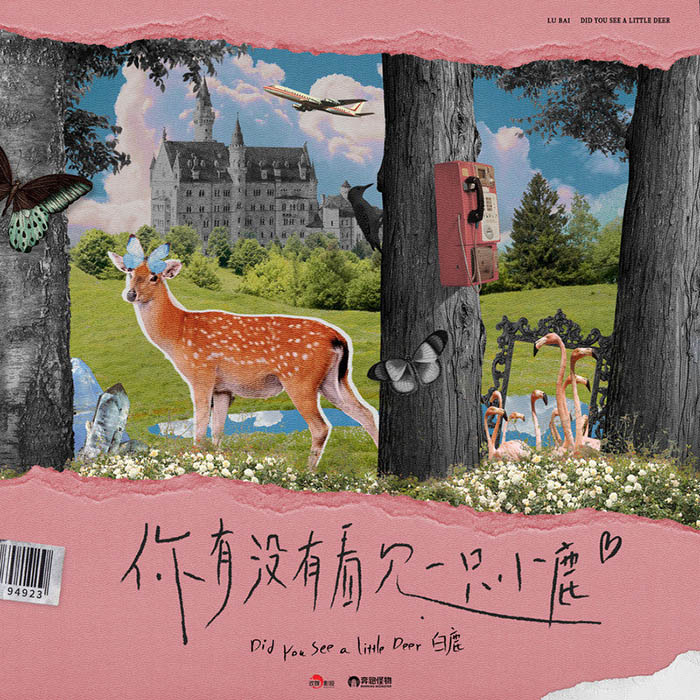 白鹿-《你有没有看见一只小鹿》