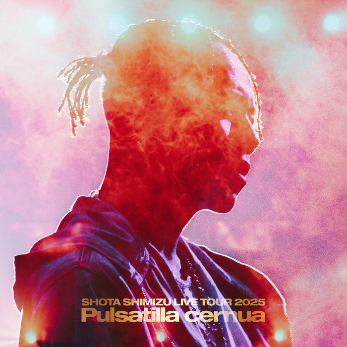 清水翔太-《SHOTA SHIMIZU LIVE TOUR 2025 ‘Pulsatilla cernua’ (Explicit)》