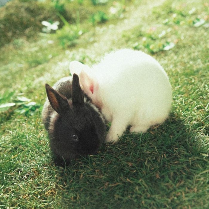 ZICO-《She`s a Baby》