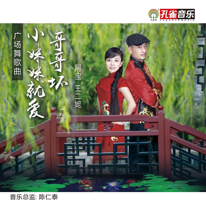 王二妮-《小妹妹就爱哥哥坏》