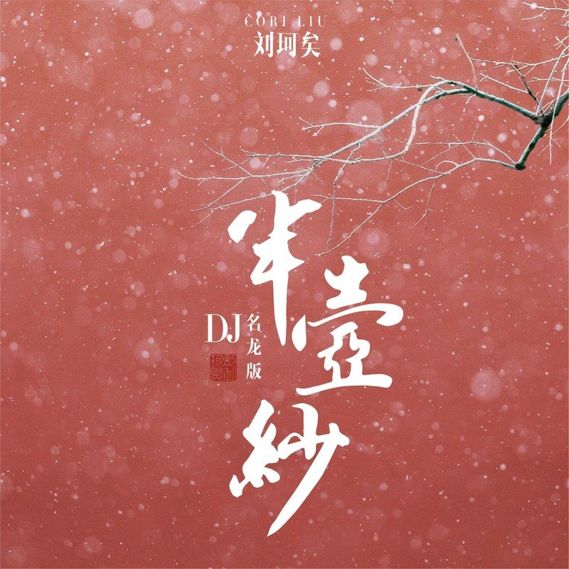刘珂矣-《半壶纱(DJ版)》