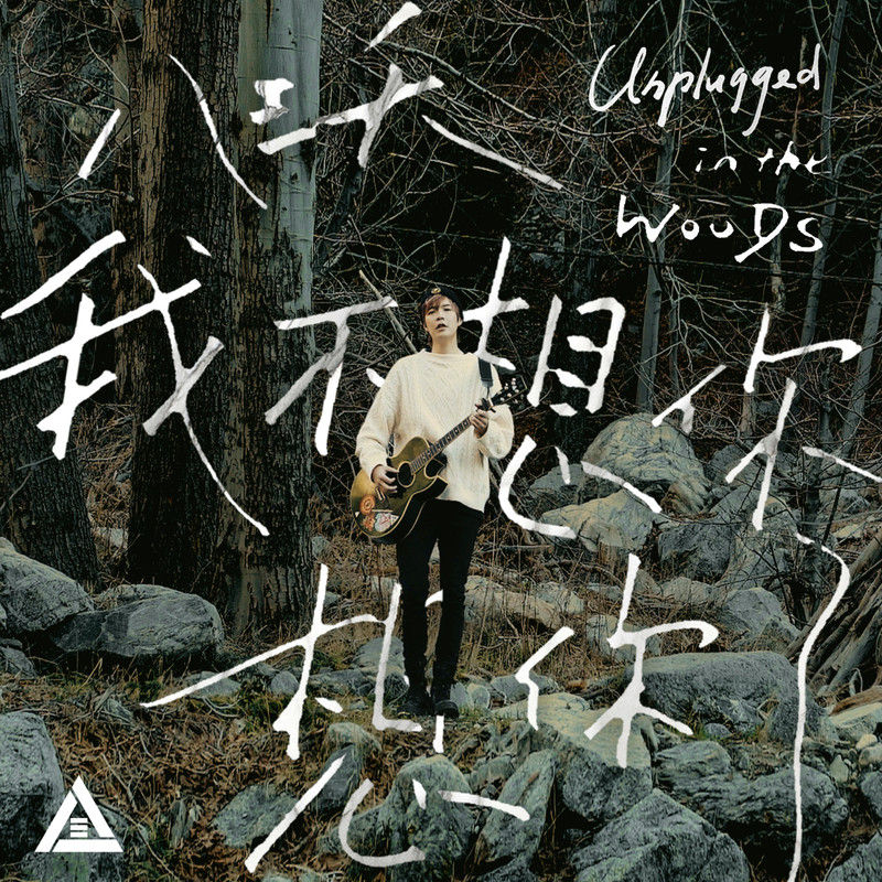 八三夭乐团-《我不想你想你了 (Unplugged in the Woods)》