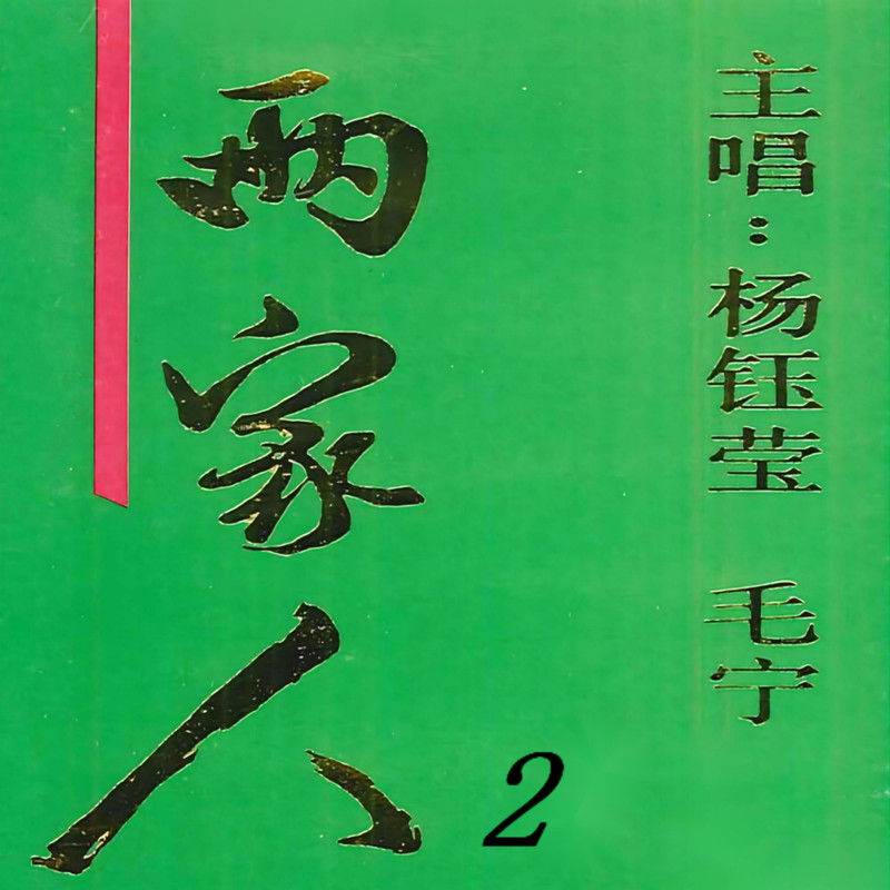 毛宁-《两家人2》