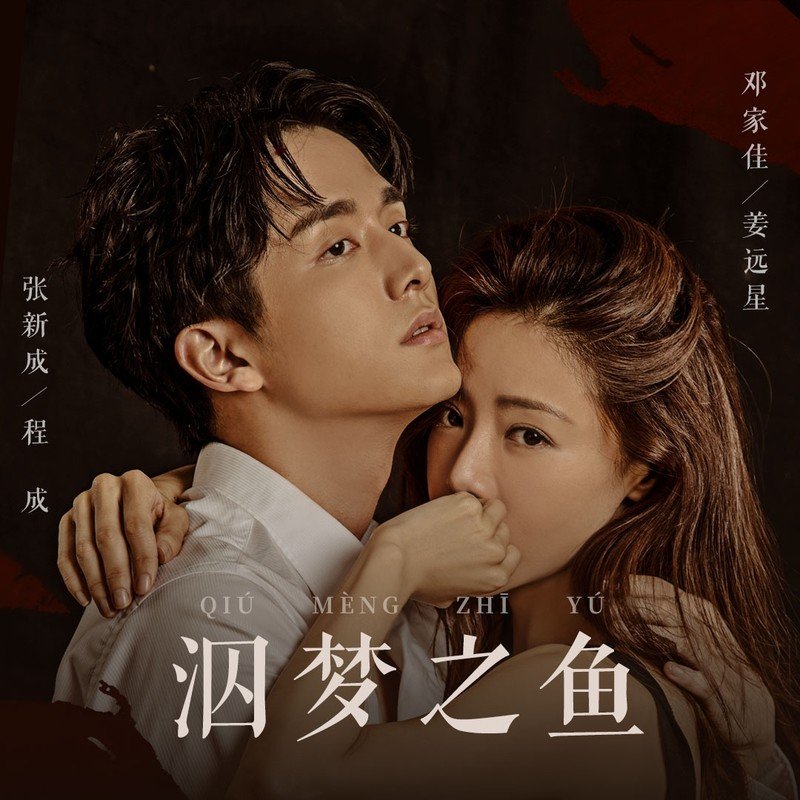 弦子-《泅梦之鱼》