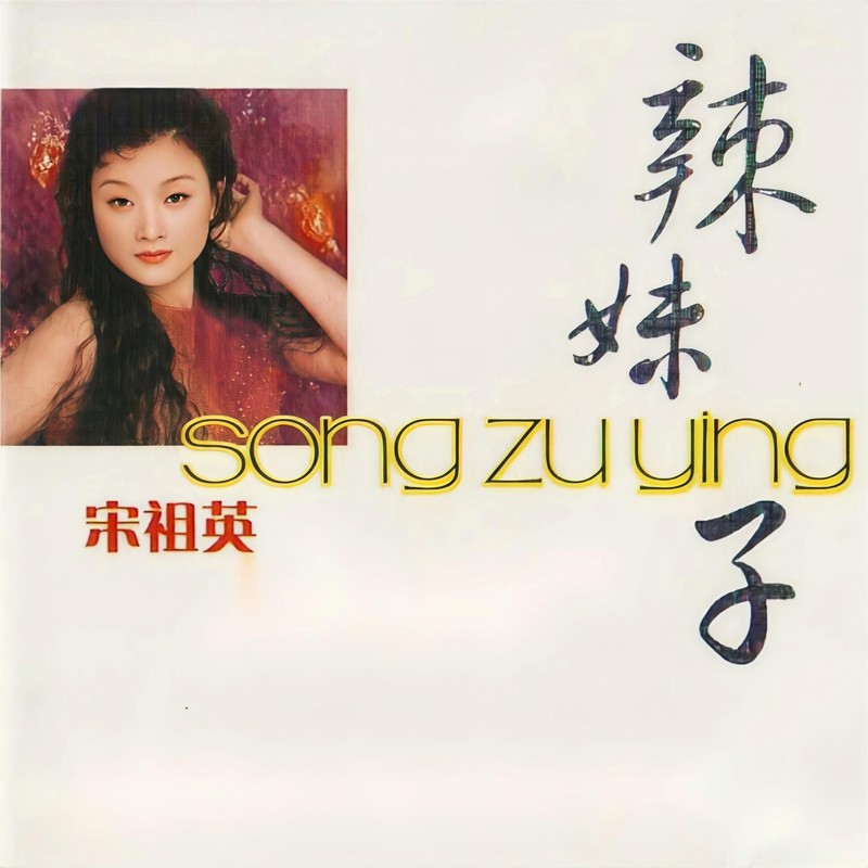 宋祖英-《辣妹子》
