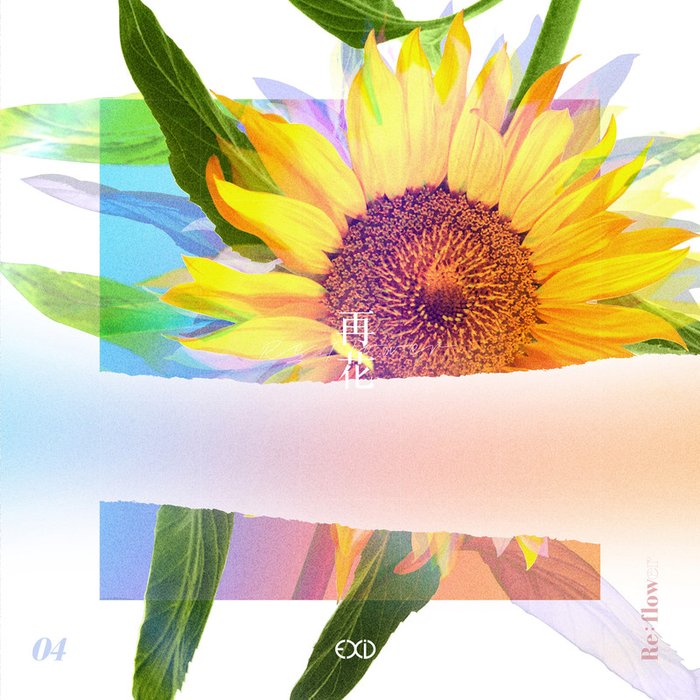 [Re_Flower] PROJECT #4