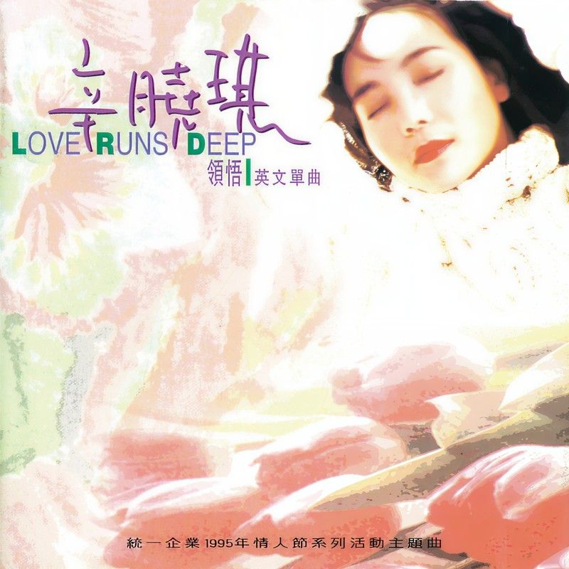 辛晓琪-《领悟 英文单曲》