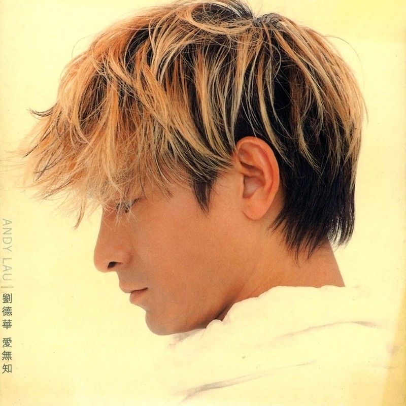 刘德华-《爱无知》