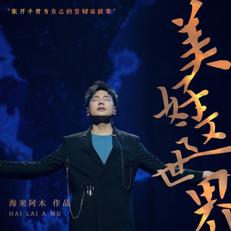 海来阿木-《美好这世界》