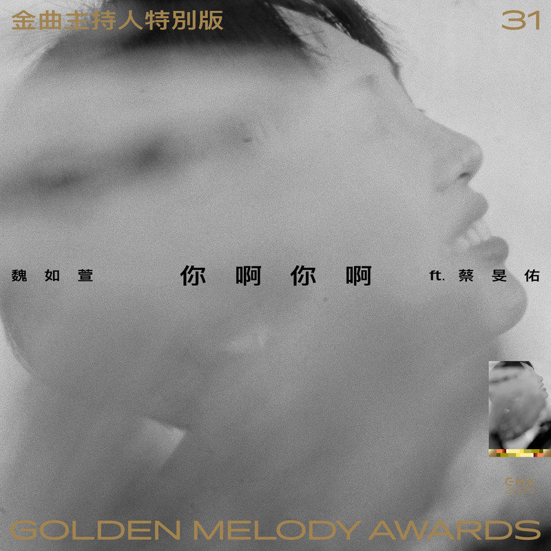 魏如萱-《你啊你啊 金曲主持人特别版》