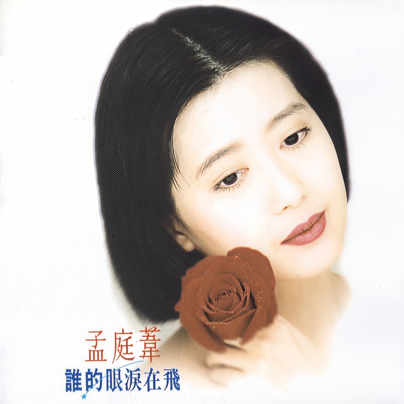 孟庭苇-《谁的眼泪在飞》