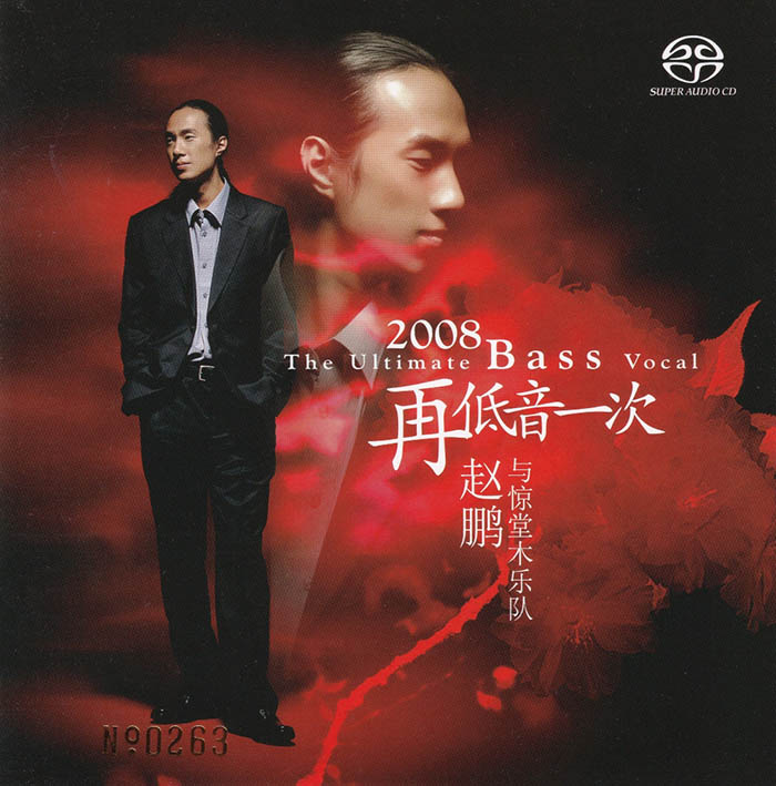 赵鹏《再一次低音》