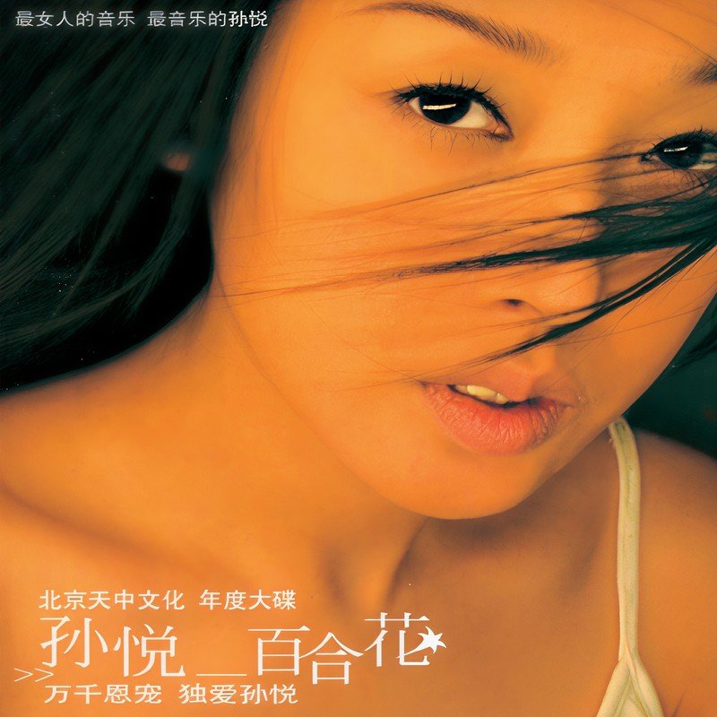 孙悦-《百合花》