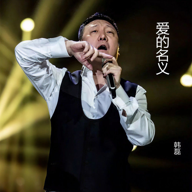 韩磊-《爱的名义》