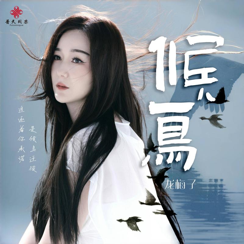 龙梅子-《候鸟》