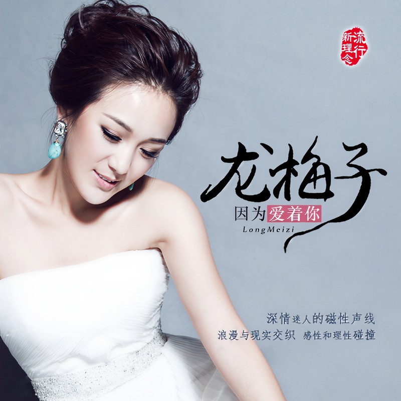 龙梅子-《因为爱着你》