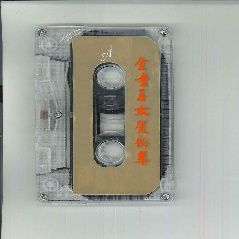 毛宁-《金童玉女贺新年》