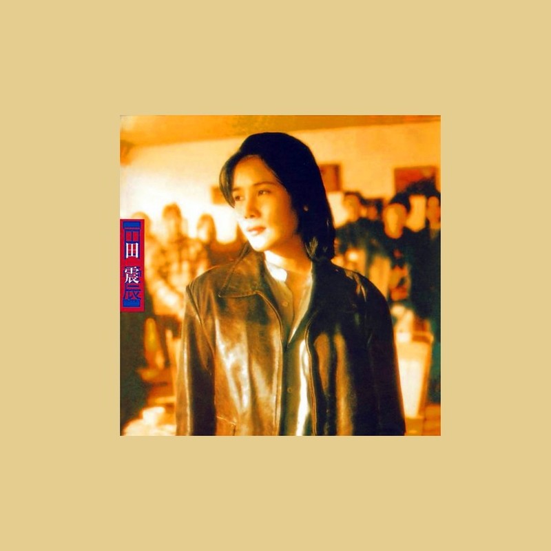 田震-《野花精选集》