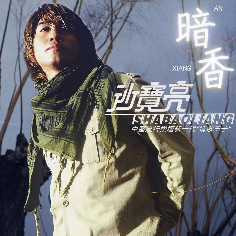 沙宝亮-《暗香 (怀旧版)》