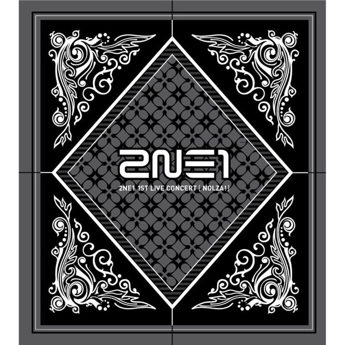 2NE1-《2011 1st Live Concert NOLZA!》